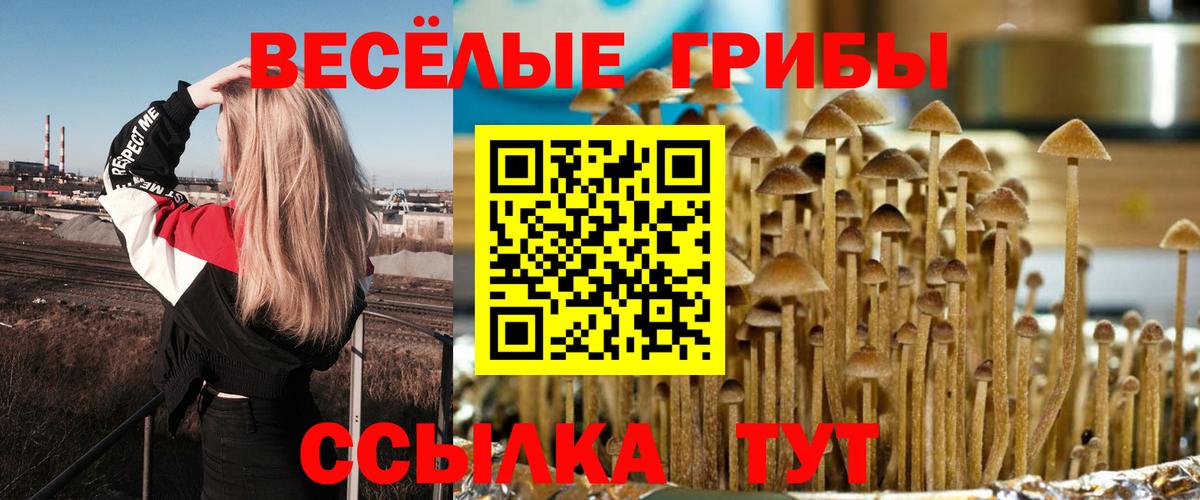 Псилоцибиновые грибы Magic Shrooms  Вход с VPN  Отрадный 