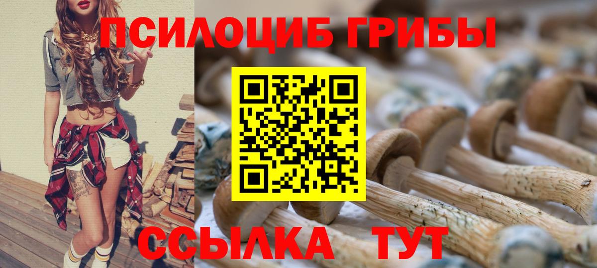 Псилоцибиновые грибы Psilocybe Отрадный